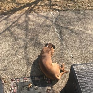 Meet your Posher, David